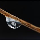 ice*drop