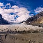 Icefield