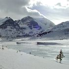Icefield Parkway #1