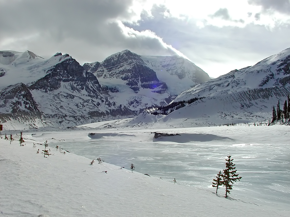 Icefield Parkway #1