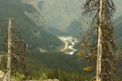 Icefield Parkway