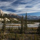 Icefield Parkway