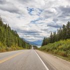 Icefield Parkway  