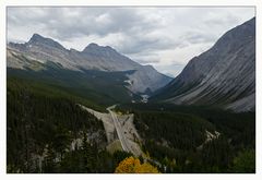 [ Icefield Parkway ]