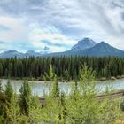 Icefield Parkway von Banff nach Jasper