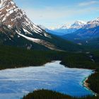 Icefields Parkay IV, Peyto Lake