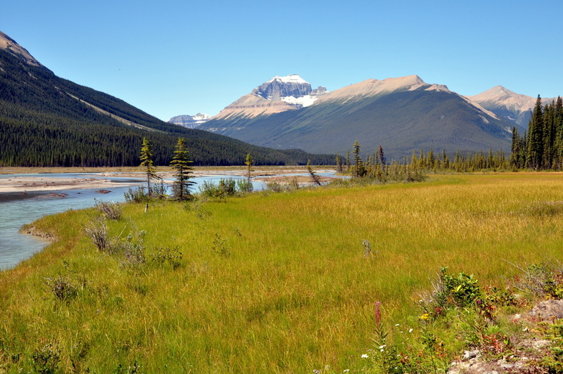 Icefields Parkway