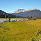 Icefields Parkway