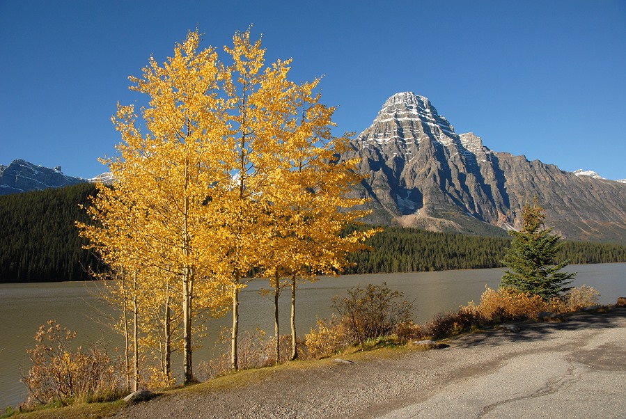 Icefields Parkway 2