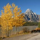 Icefields Parkway 2