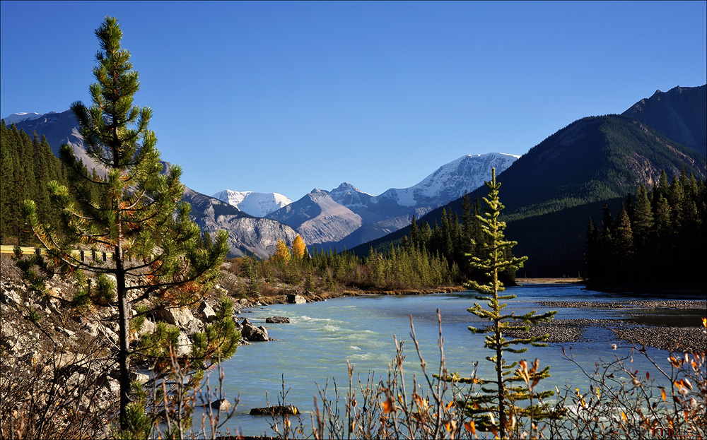 Icefields Parkway /3/