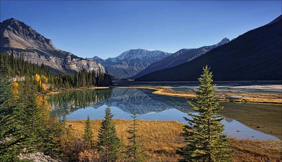 Icefields Parkway /4/