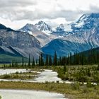 Icefields Parkway