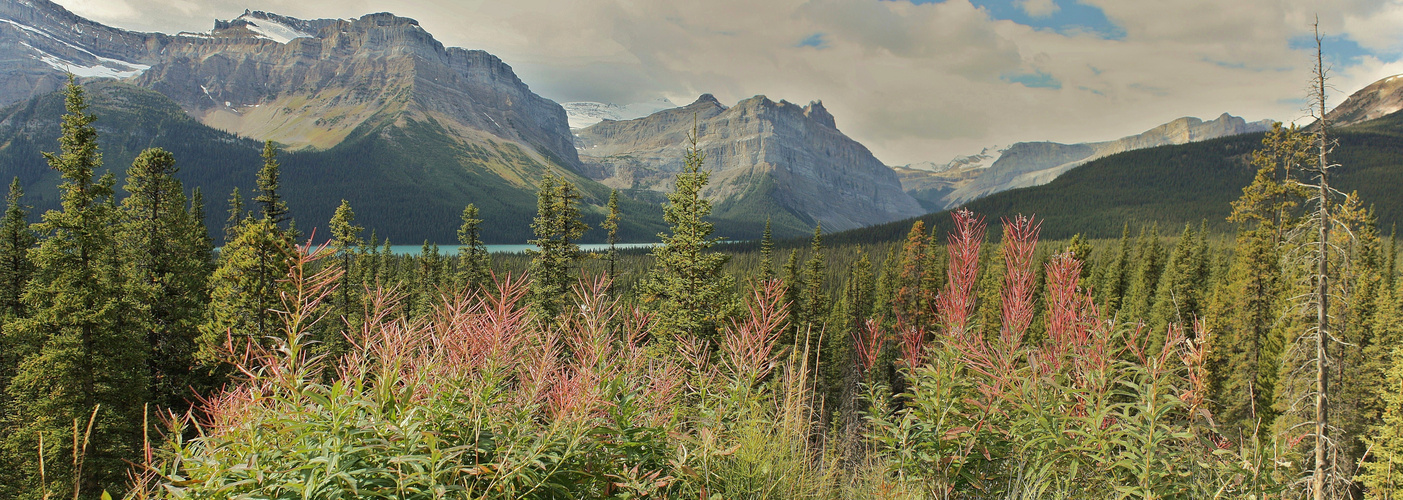 Icefields Parkway