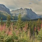 Icefields Parkway