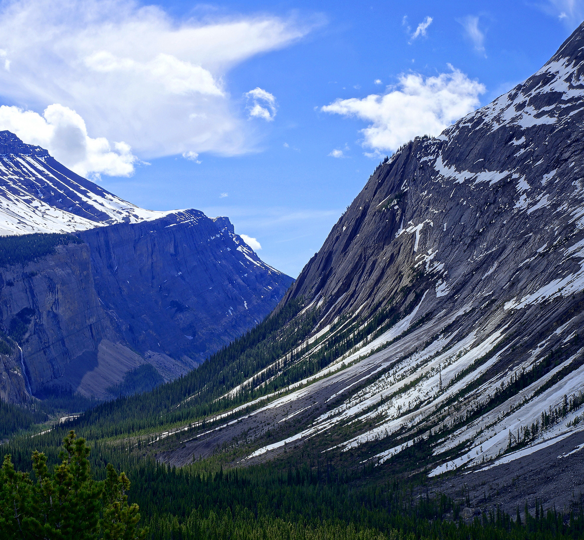 Icefields Parkway I