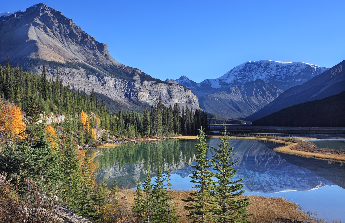 *Icefields Parkway lV*