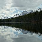 Icefields Parkway, May 2013