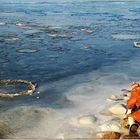 Iceknipsing an der Donau