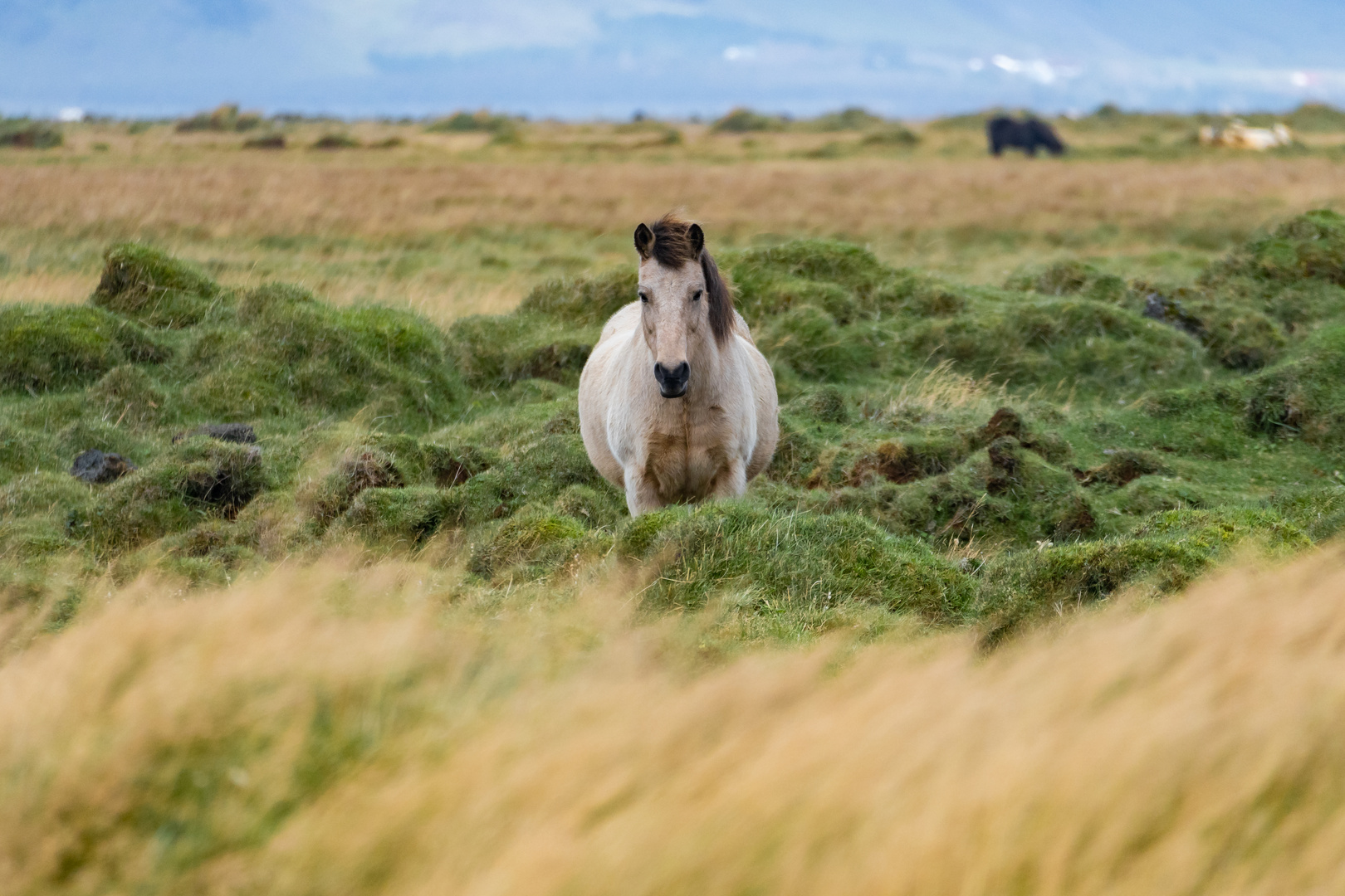 Iceland