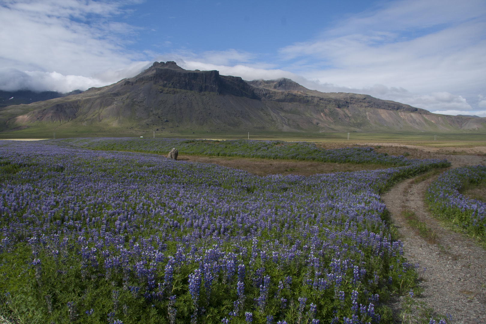Iceland among blues