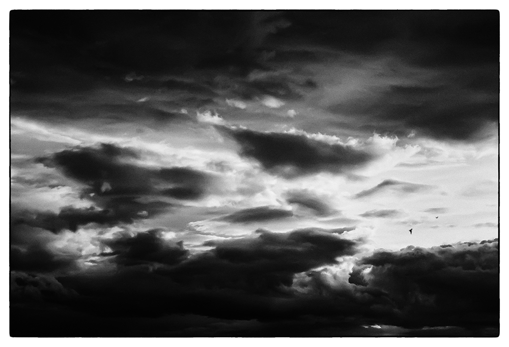 [... Iceland - Cloudy sky with two little birds]