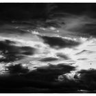 [... Iceland - Cloudy sky with two little birds]