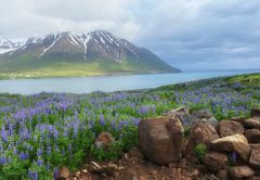 Iceland