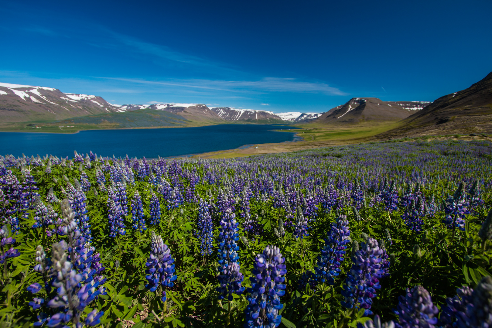 Iceland