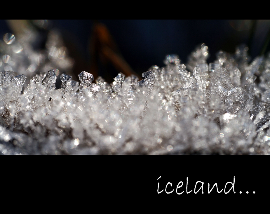 iceland...