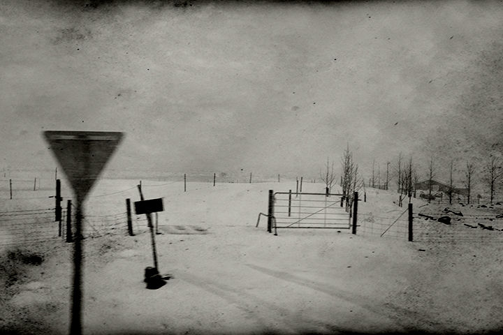 Iceland Farm in Snow #3