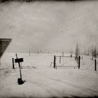 Iceland Farm in Snow #3