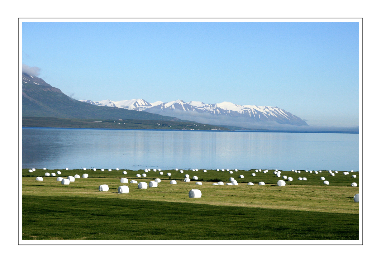 Iceland fjord