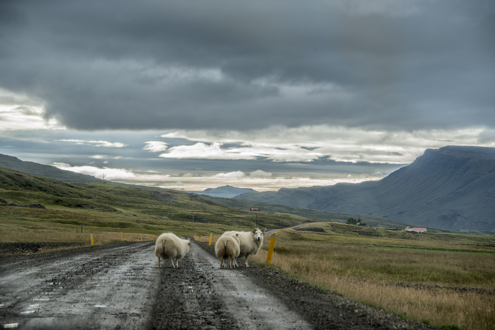 Iceland Highway :)