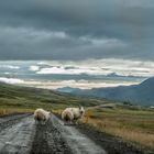 Iceland Highway :)