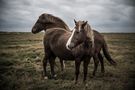 Iceland II von Daniel TH. 