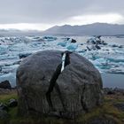 Iceland - Jökulsarlon Glacial Lagoon: Frostschaden