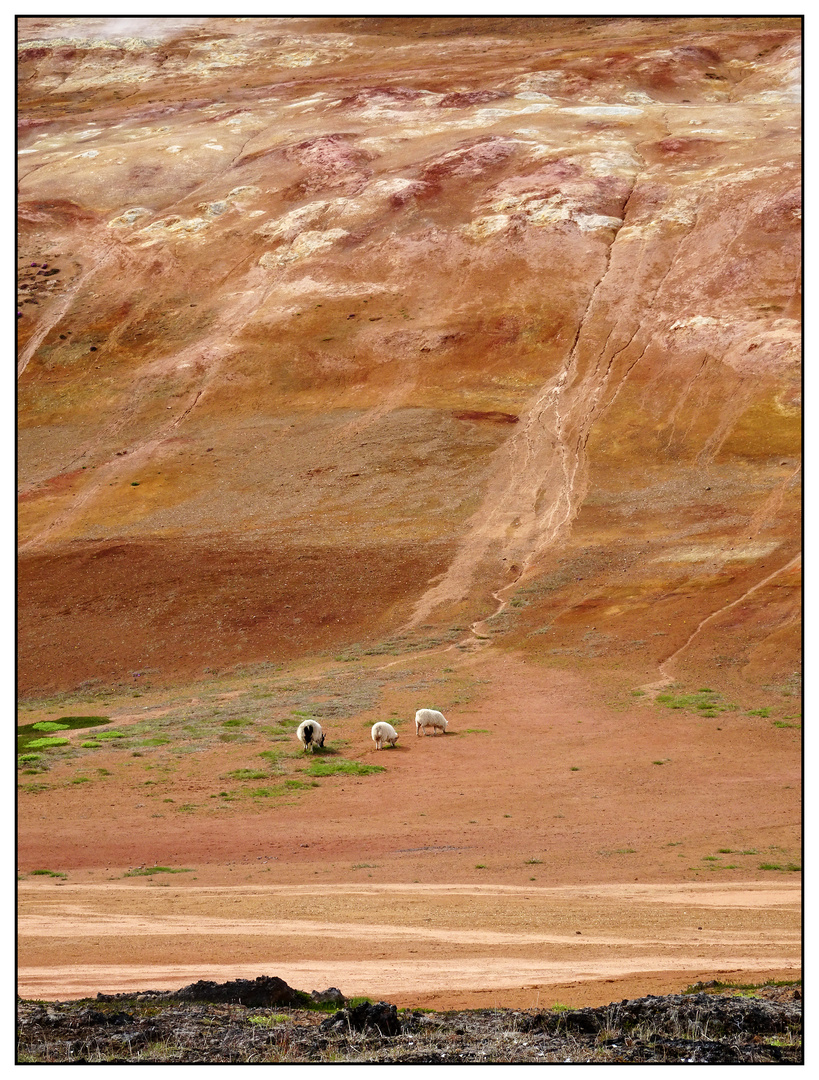 Iceland, „Leirhnjúkur“ volcano in Krafla region