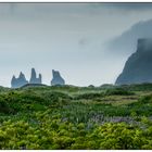 Iceland, Reynisdrangar #2