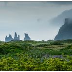 Iceland, Reynisdrangar #2