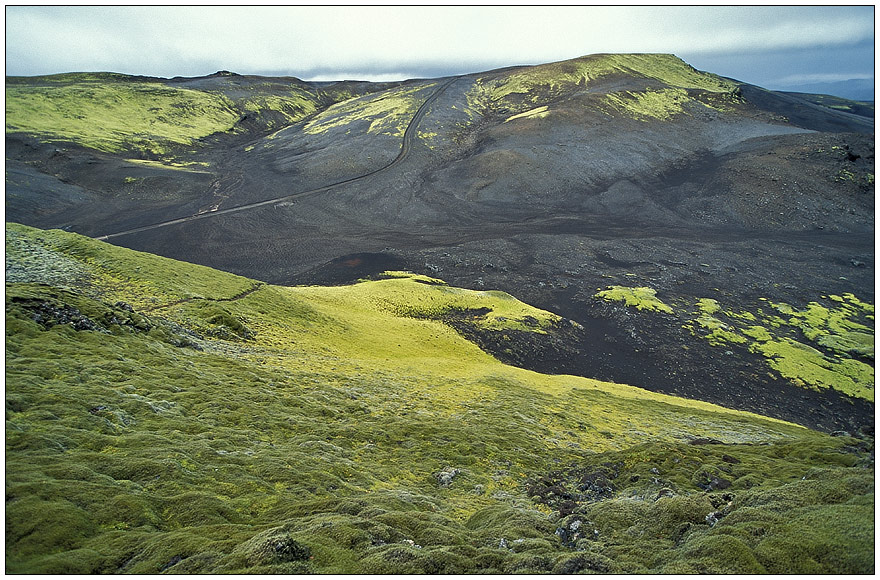 [ Iceland - Road ]