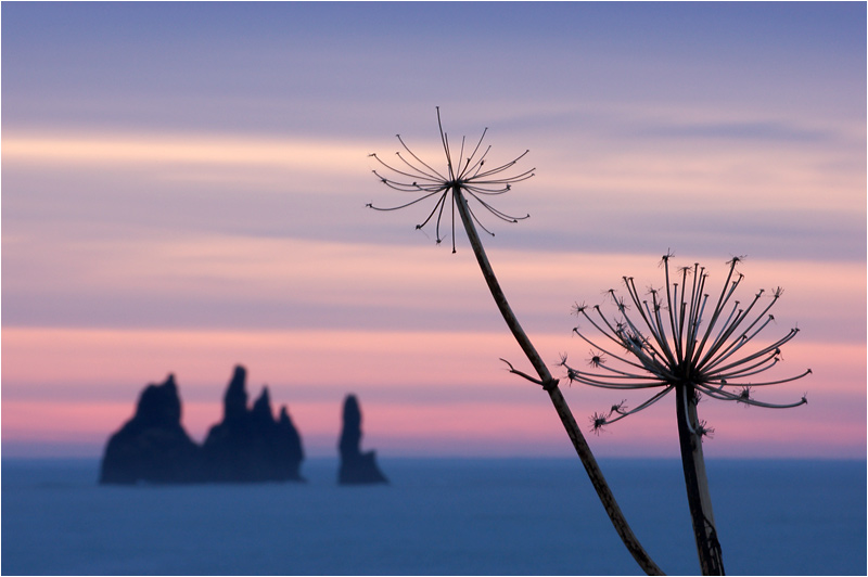 iceland winter 02