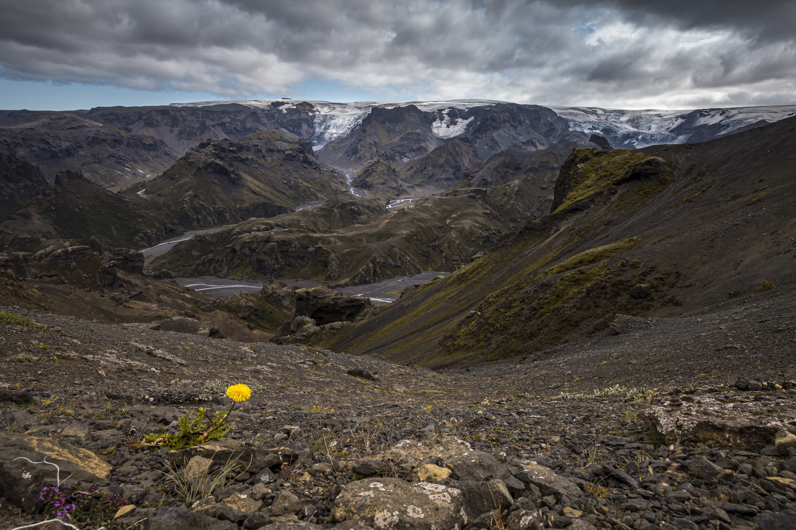 Iceland Yellow