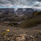 Iceland Yellow