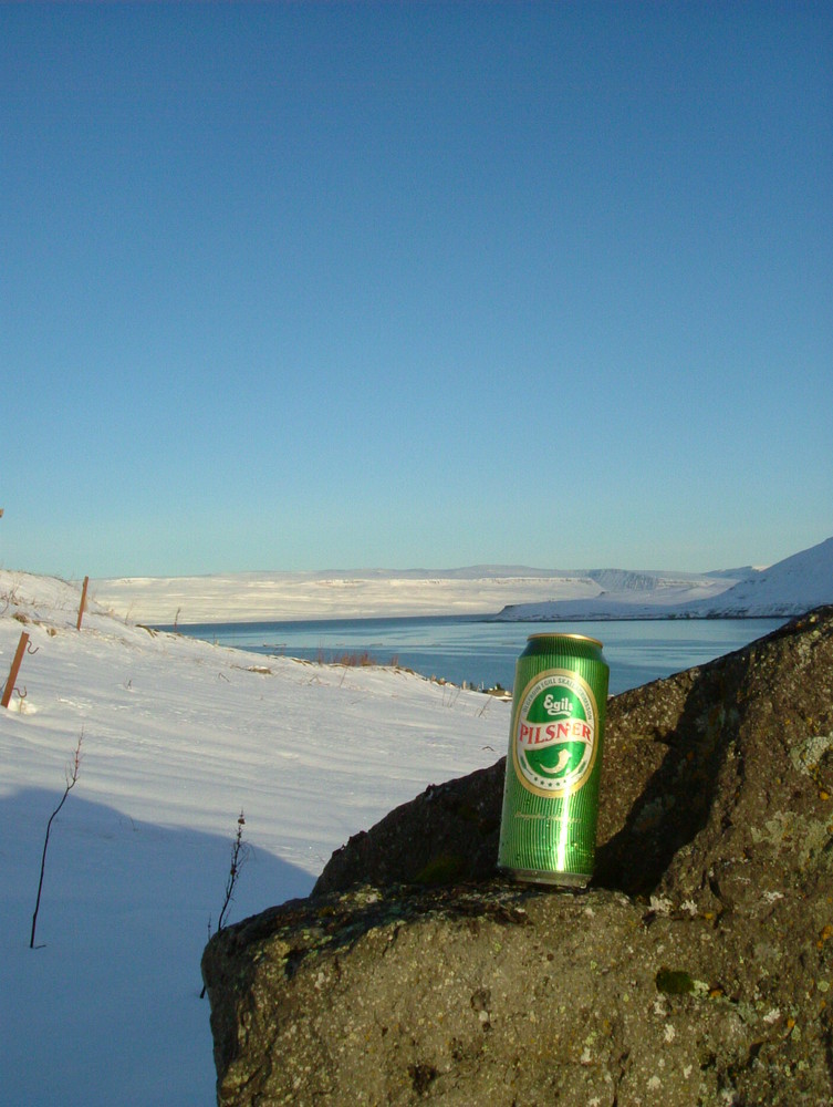 Icelandic Beer