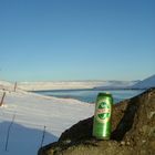 Icelandic Beer