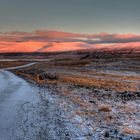 Icelandic morning