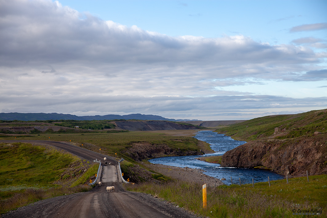 Icelandic Roads I