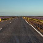 Icelandic Roads II