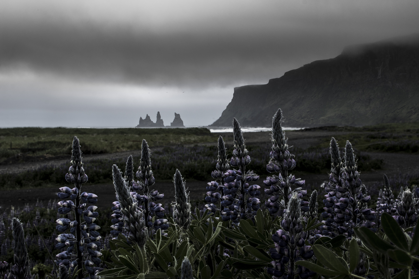 ...Icelandic Summer...